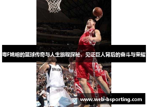 粤F姚明的篮球传奇与人生旅程探秘，见证巨人背后的奋斗与荣耀
