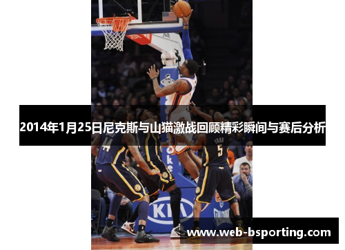 2014年1月25日尼克斯与山猫激战回顾精彩瞬间与赛后分析